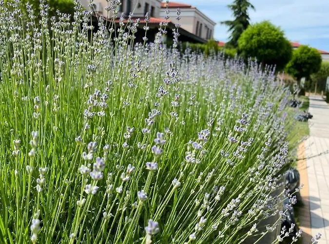 Two Bedroom In Gl Lejlighed *